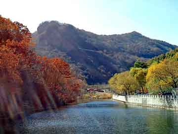 新澳天天开奖资料大全旅游团，铜山seo程序